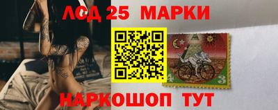 гашик Аргун
