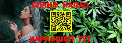 гашик Аргун