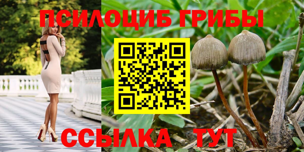 Псилоцибиновые грибы мицелий  Галлюциногенные грибы Magic Shrooms  Вход с VPN  Волгодонск 