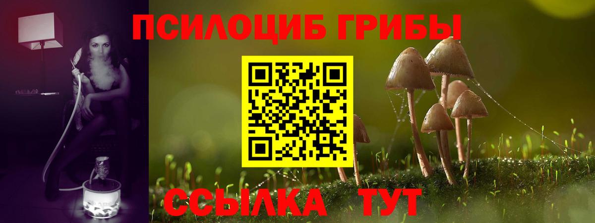 ГАШ Волгодонск